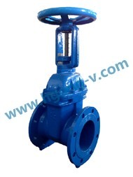 API cast iron rise stem flange gate valve